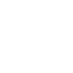 AIVI